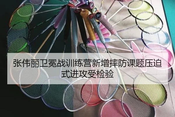 张伟丽卫冕战训练营新增摔防课题压迫式进攻受检验
